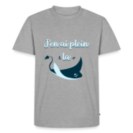 T-shirt premium homme - Plein la raie - gris chiné - front