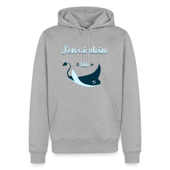 Sweat-shirt à capuche premium homme - Plein la raie - gris chiné - front