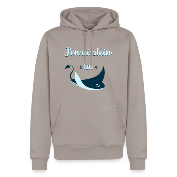 Sweat-shirt à capuche premium homme - Plein la raie - taupe - front