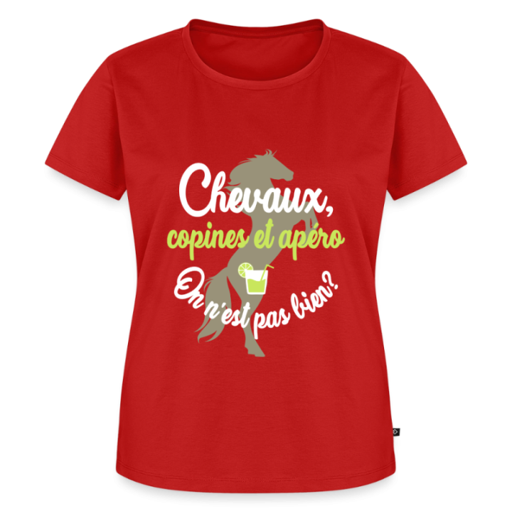  copines et apéro - anthracite chiné - front